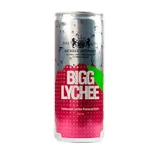 BIGG LYCHEE CAN from Al Mustafa Mini Mart & Pharmacy - Sellvixa Cloud