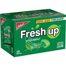 FRESHUP SPEARMINT from Al Mustafa Mini Mart & Pharmacy - Sellvixa Cloud