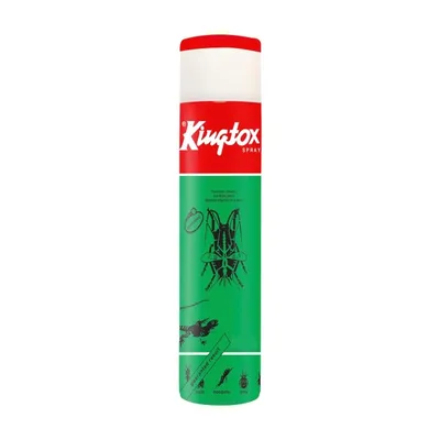 Kingtox Insect Killer 300ml from Al Mustafa Mini Mart & Pharmacy - Sellvixa Cloud